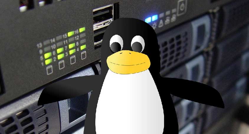 linux server distros