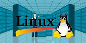 linux server distros