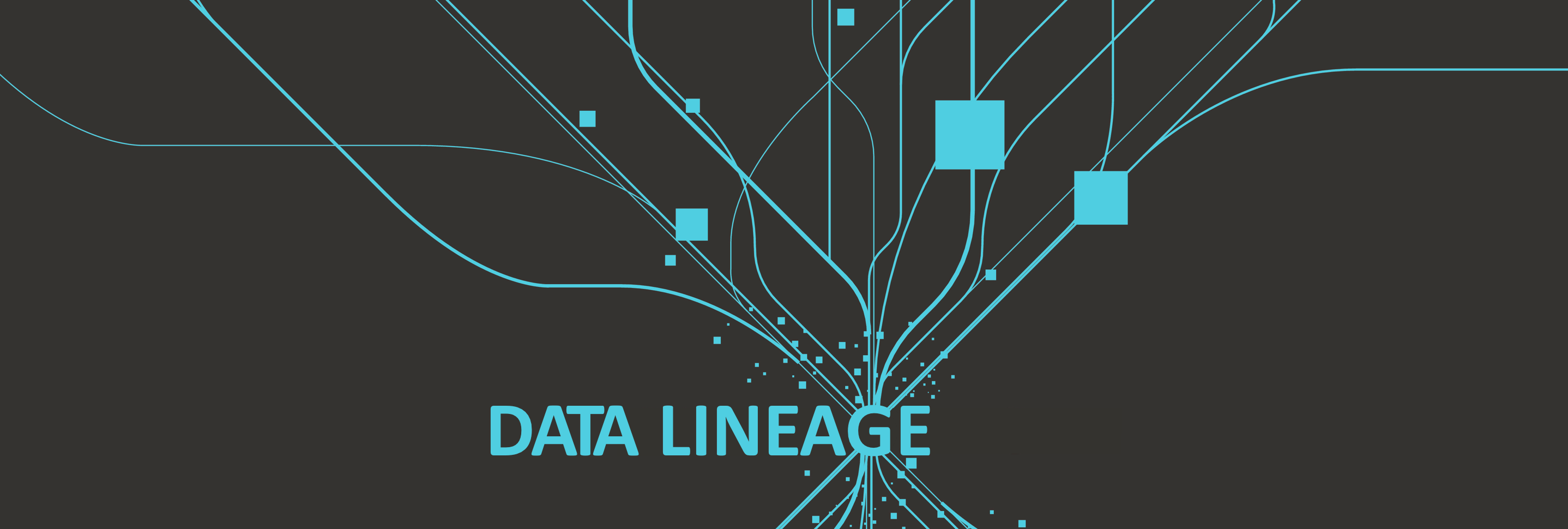 data lineage